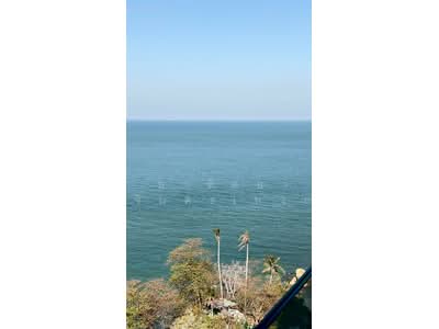 ขาย - The Cove Pattaya : เดอะ โคฟ พัทยา, ชลบุรี