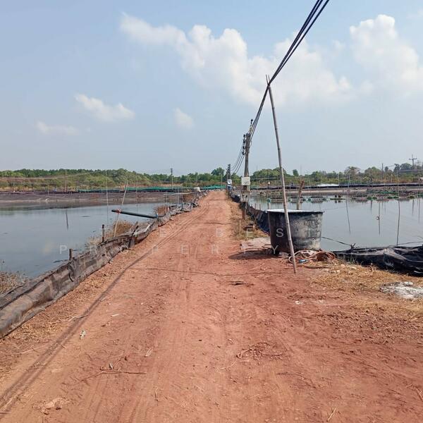 ขาย - ที่ดินนายายอาม จันทบุรี, จันทบุรี