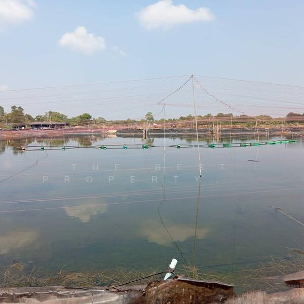 ขาย - ที่ดินนายายอาม จันทบุรี, จันทบุรี