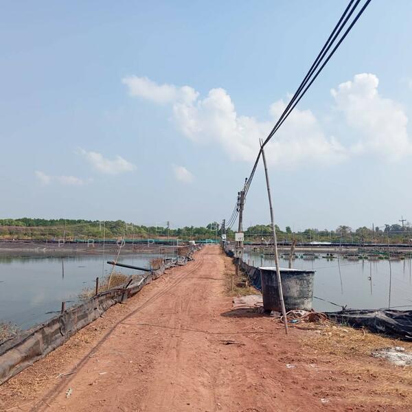 ขาย - ที่ดินนายายอาม จันทบุรี, จันทบุรี