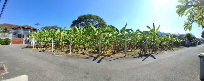 ที่ดินทำเลดี สุขุมวิท – ปรีดีพนมยงค์ พระโขนง เอกมัย ทองหล่อ, กรุงเทพ, คลองตันเหนือ, วัฒนา, กรุงเทพ, 1,548 ตร.ม., ที่ดิน ให้เช่า, โดย Sasialinda (Muay), 500108616 - DDproperty.com