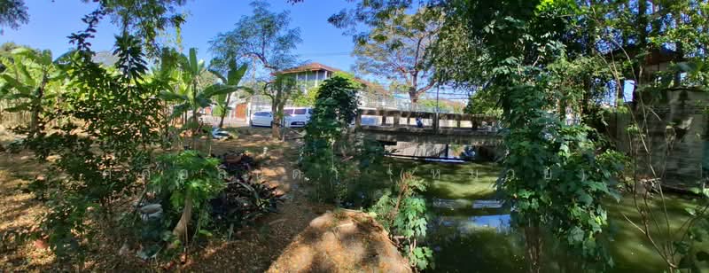 ที่ดินทำเลดี สุขุมวิท – ปรีดีพนมยงค์ พระโขนง เอกมัย ทองหล่อ, กรุงเทพ, คลองตันเหนือ, วัฒนา, กรุงเทพ, 1,548 ตร.ม., ที่ดิน ให้เช่า, โดย Sasialinda (Muay), 500108616 - DDproperty.com