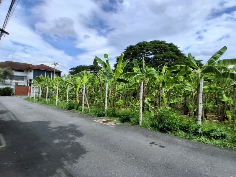 Land for Sale – Pridi Phanomyong 14 (Canal & Corner Plot), SukhumvitPridi Prime, Investment Estate, Bangkok, Khlong Tan Nua, Watthana, Bangkok, , 1,548 sqm, Land For Rent, by Sasialinda (Muay), 500108616 - DDproperty.com