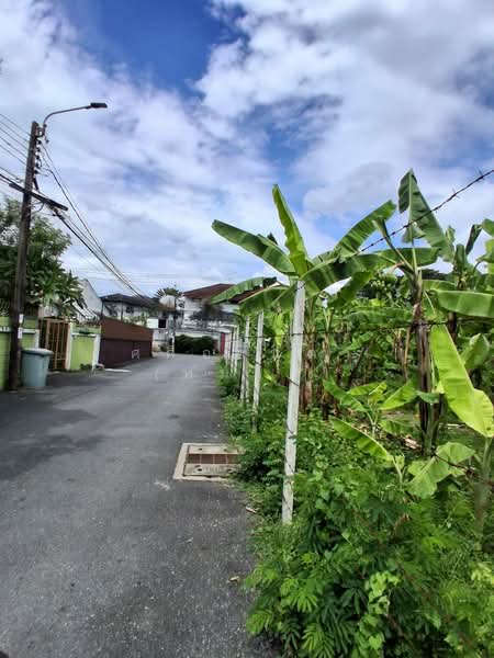 Land for Sale – Pridi Phanomyong 14 (Canal & Corner Plot), SukhumvitPridi Prime, Investment Estate, Bangkok, Khlong Tan Nua, Watthana, Bangkok, , 1,548 sqm, Land For Rent, by Sasialinda (Muay), 500108616 - DDproperty.com