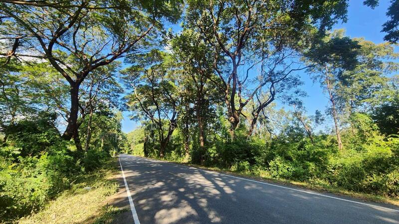 ขาย - ที่ดินแปลงใหญ่ 76 ไร่เศษ ติดถนนพหลโยธิน ต. สมอโดน อ.บ้านตาก จ.ตาก, ตาก