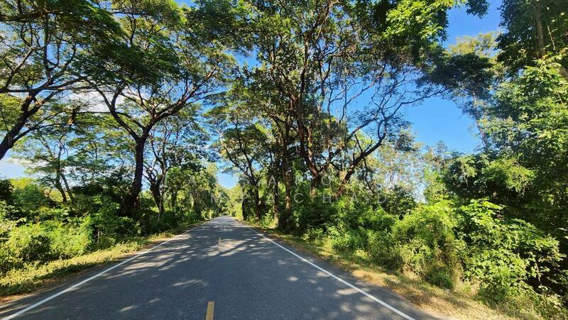 ขาย - ที่ดินแปลงใหญ่ 76 ไร่เศษ ติดถนนพหลโยธิน ต. สมอโดน อ.บ้านตาก จ.ตาก, ตาก