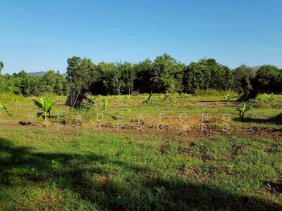 ขาย - ที่ดินแปลงใหญ่ 76 ไร่เศษ ติดถนนพหลโยธิน ต. สมอโดน อ.บ้านตาก จ.ตาก, ตาก