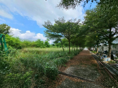 ขาย - ขาย ที่ดิน 1 ไร่ แปลงสวย ถมแล้ว มีรั้ว ถนนบึงขวาง 3 แขวงแสนแสบ เขตมีนบุรี กรุงเทพมหานคร, กรุงเทพ