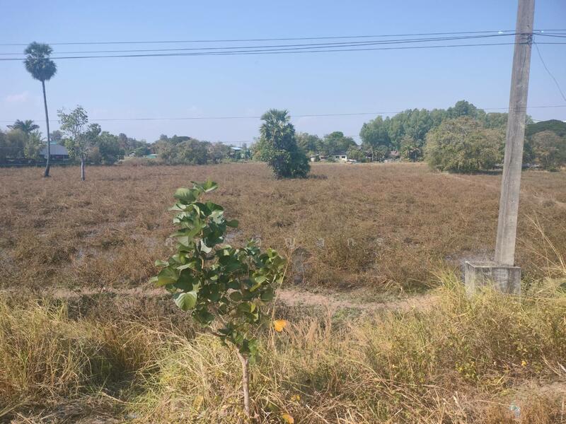 ขาย - ขายที่ดินเปล่า ทำเลดี อำเภอเมืองมุกดาหาร จังหวัดมุกดาหาร, มุกดาหาร