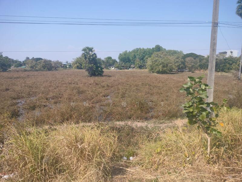 ขาย - ขายที่ดินเปล่า ทำเลดี อำเภอเมืองมุกดาหาร จังหวัดมุกดาหาร, มุกดาหาร