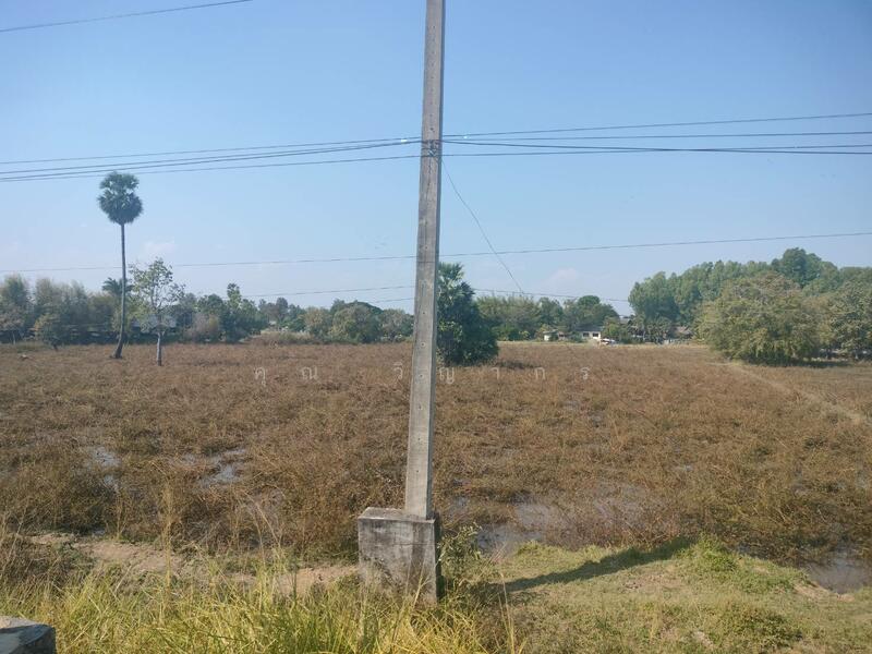 ขาย - ขายที่ดินเปล่า ทำเลดี อำเภอเมืองมุกดาหาร จังหวัดมุกดาหาร, มุกดาหาร