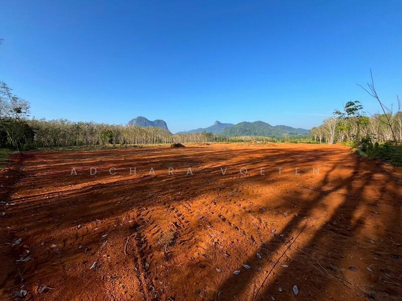 แปลงที่ดินเพื่อการลงทุน คลองรูด กระบี่, Krabi, กระบี่, หนองทะเล, เมืองกระบี่, กระบี่, 1,380 ตร.ม., ที่ดิน ขาย, โดย Adchara Voeten, 500109191 - DDproperty.com