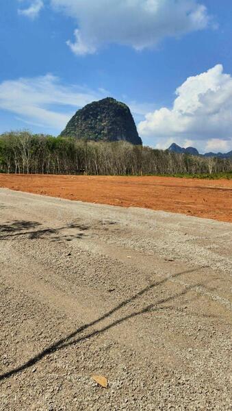 แปลงที่ดินเพื่อการลงทุน คลองรูด กระบี่, Krabi, กระบี่, หนองทะเล, เมืองกระบี่, กระบี่, 1,380 ตร.ม., ที่ดิน ขาย, โดย Adchara Voeten, 500109191 - DDproperty.com
