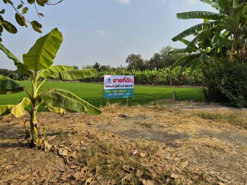 ขายที่ดิน 5 ไร่ 3 งาน 56.3 ตารางวา หน้ากว้าง 107.72 เมตร ยาว 77.01 เมตร, นนทบุรี, พิมลราช, บางบัวทอง, นนทบุรี, 9,424 ตร.ม., ที่ดิน ขาย, โดย สุนทร จองมั่นคง, 500109240 - DDproperty.com