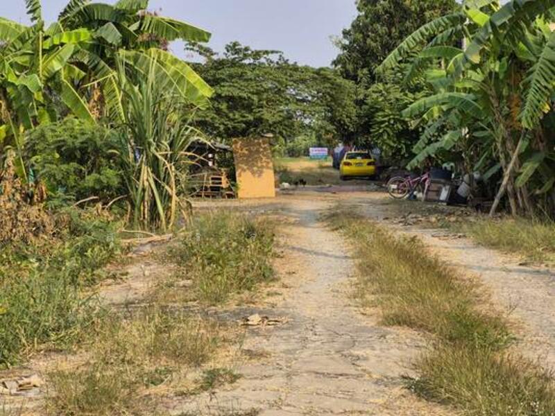 ขายที่ดิน 5 ไร่ 3 งาน 56.3 ตารางวา หน้ากว้าง 107.72 เมตร ยาว 77.01 เมตร, นนทบุรี, พิมลราช, บางบัวทอง, นนทบุรี, 9,424 ตร.ม., ที่ดิน ขาย, โดย สุนทร จองมั่นคง, 500109240 - DDproperty.com