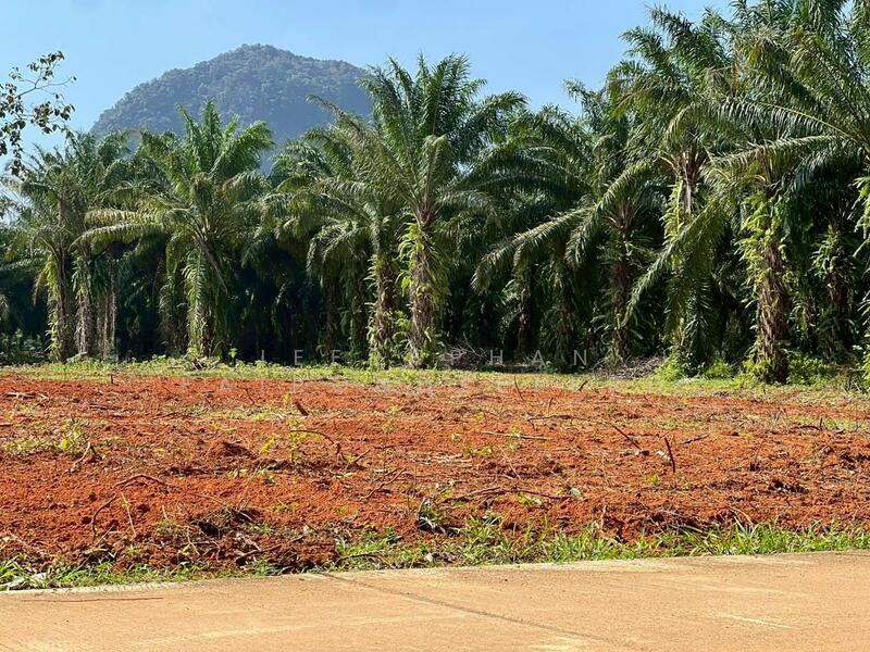 ขาย - ขายที่ดินใกล้แหล่งท่องเที่ยวคลองน้ำใส (คลองหรูด) จุดเล่นน้ำ เพียง 1 กิโลเมตร เอกสารสิทธิ์โฉนดครุฑแด, สงขลา