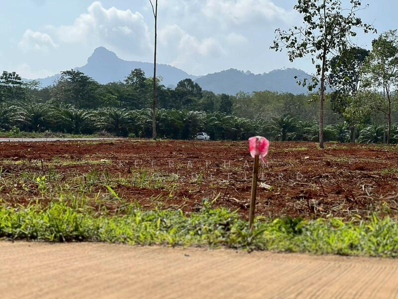 ขาย - ขายที่ดินใกล้แหล่งท่องเที่ยวคลองน้ำใส (คลองหรูด) จุดเล่นน้ำ เพียง 1 กิโลเมตร เอกสารสิทธิ์โฉนดครุฑแด, สงขลา