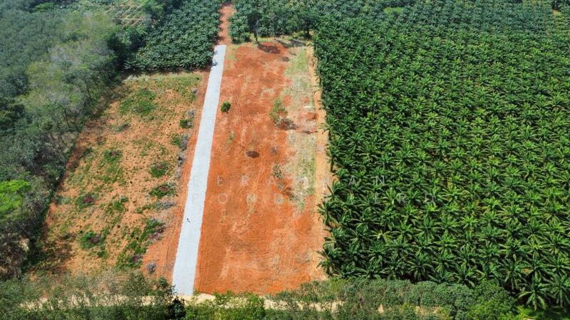 ขาย - ขายที่ดินใกล้แหล่งท่องเที่ยวคลองน้ำใส (คลองหรูด) จุดเล่นน้ำ เพียง 1 กิโลเมตร เอกสารสิทธิ์โฉนดครุฑแด, สงขลา