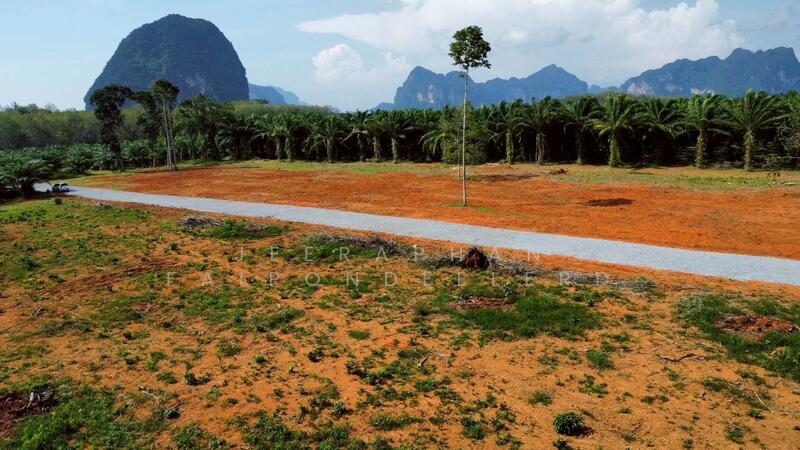 ขาย - ขายที่ดินใกล้แหล่งท่องเที่ยวคลองน้ำใส (คลองหรูด) จุดเล่นน้ำ เพียง 1 กิโลเมตร เอกสารสิทธิ์โฉนดครุฑแด, สงขลา