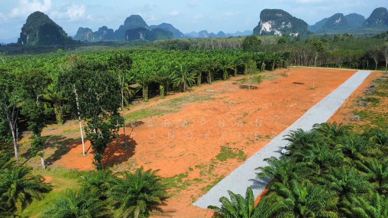 ขาย - ขายที่ดินใกล้แหล่งท่องเที่ยวคลองน้ำใส (คลองหรูด) จุดเล่นน้ำ เพียง 1 กิโลเมตร เอกสารสิทธิ์โฉนดครุฑแด, สงขลา