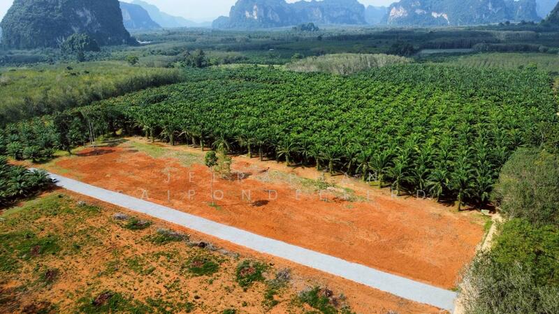 ขาย - ขายที่ดินใกล้แหล่งท่องเที่ยวคลองน้ำใส (คลองหรูด) จุดเล่นน้ำ เพียง 1 กิโลเมตร เอกสารสิทธิ์โฉนดครุฑแด, สงขลา