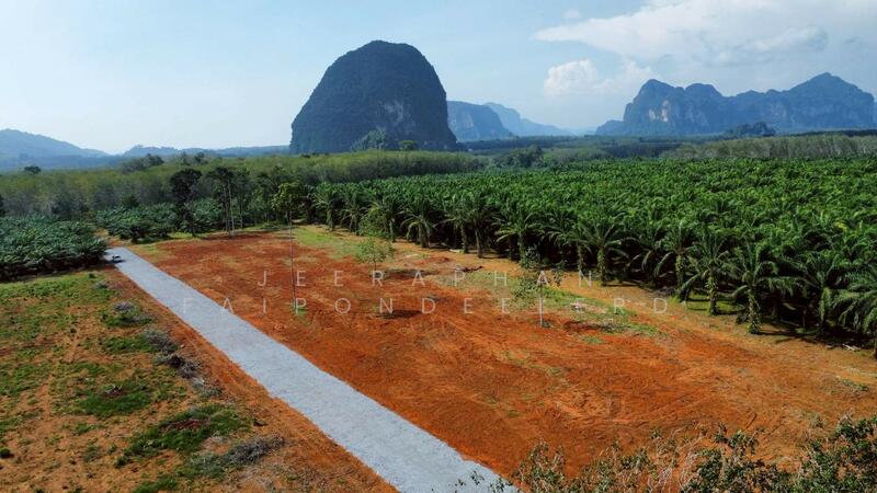 ขาย - ขายที่ดินใกล้แหล่งท่องเที่ยวคลองน้ำใส (คลองหรูด) จุดเล่นน้ำ เพียง 1 กิโลเมตร เอกสารสิทธิ์โฉนดครุฑแด, สงขลา