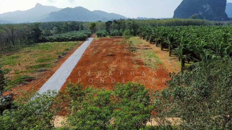 ขาย - ขายที่ดินใกล้แหล่งท่องเที่ยวคลองน้ำใส (คลองหรูด) จุดเล่นน้ำ เพียง 1 กิโลเมตร เอกสารสิทธิ์โฉนดครุฑแด, สงขลา