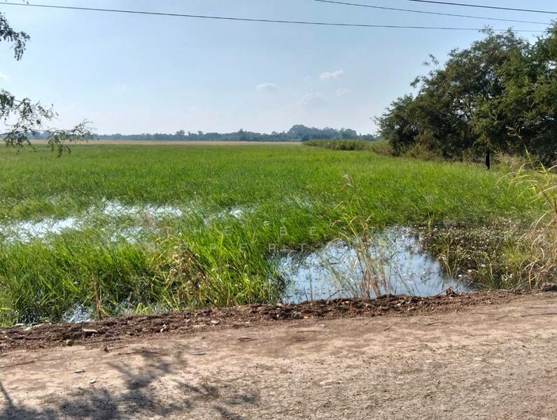 ที่ดินมหาราช พระนครศรีอยุธยา, Phra Nakhon Si Ayutthaya, Ban Khwang, Maha Rat, Phra Nakhon Si Ayutthaya, , 8,112 sqm, Land For Sale, by The Best Property กิต, 500109341 - DDproperty.com