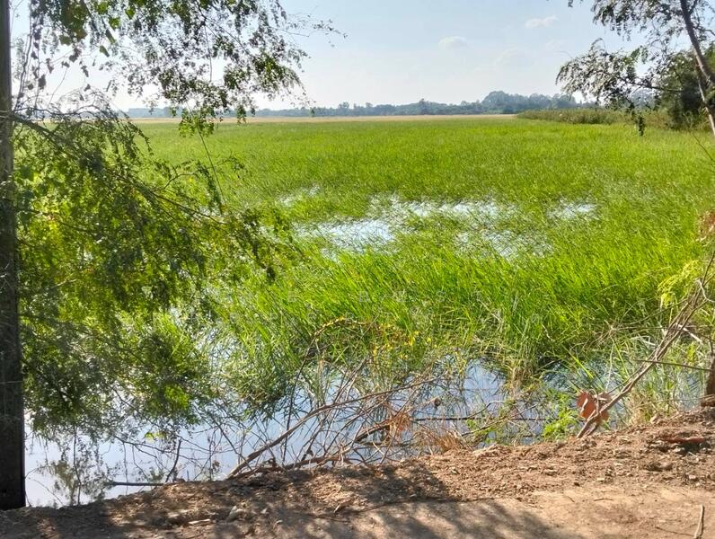 ที่ดินมหาราช พระนครศรีอยุธยา, Phra Nakhon Si Ayutthaya, Ban Khwang, Maha Rat, Phra Nakhon Si Ayutthaya, , 8,112 sqm, Land For Sale, by The Best Property กิต, 500109341 - DDproperty.com