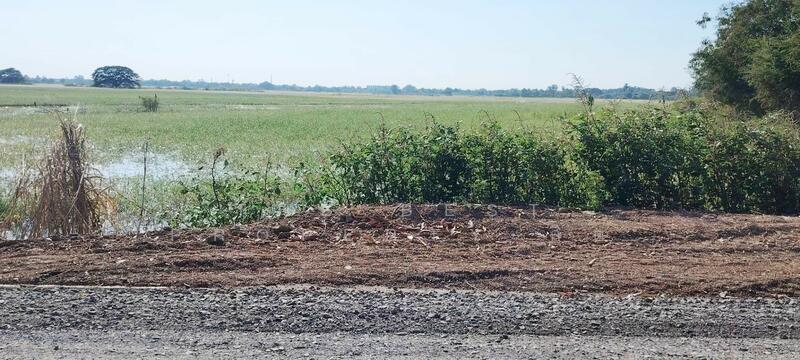 ที่ดินมหาราช พระนครศรีอยุธยา, Phra Nakhon Si Ayutthaya, Ban Khwang, Maha Rat, Phra Nakhon Si Ayutthaya, , 8,112 sqm, Land For Sale, by The Best Property กิต, 500109341 - DDproperty.com