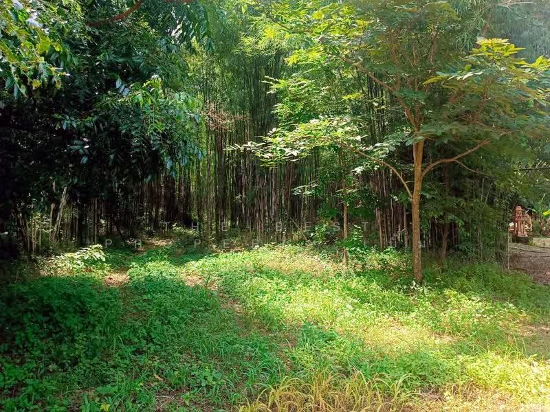 ที่ดินแหลมงอบ ตราด, Trat, Khlong Yai, Laem Ngop, Trat, , 6,032 sqm, Land For Sale, by The Best Property เบิ้ม, 500109547 - DDproperty.com