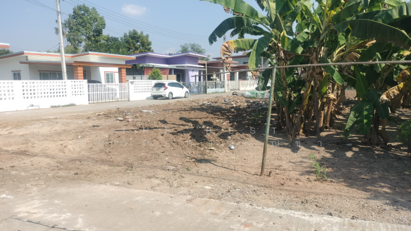 ขาย - ที่ดินท่าทอง พิษณุโลก, พิษณุโลก