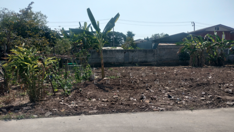 ขาย - ที่ดินท่าทอง พิษณุโลก, พิษณุโลก