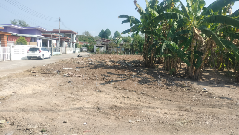 ขาย - ที่ดินท่าทอง พิษณุโลก, พิษณุโลก