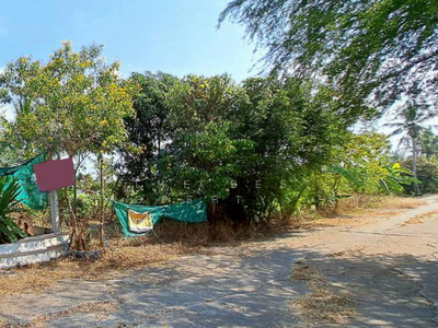 ขาย - ที่ดินพุทธมณฑล นครปฐม, นครปฐม