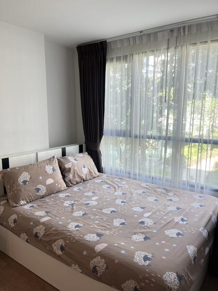 For Rent - Centrio Condominium, Phuket