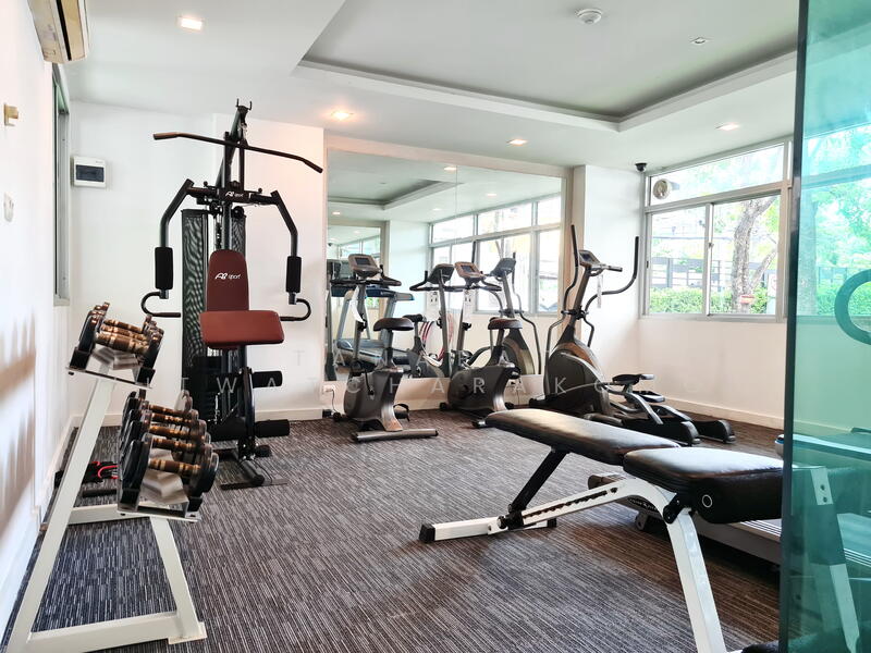 ให้เช่า - My Condo Sukhumvit 81 : มายคอนโด สุขุมวิท81, กรุงเทพ