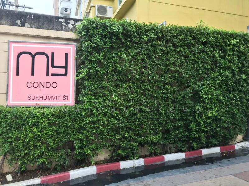 For Rent - My Condo Sukhumvit 81, Bangkok