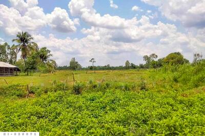 ขาย - NI-025071 ที่ดินบ้านกรวด 7 ไร่ 86.4 ตร.ว. บุรีรัมย์ ใกล้โรงพยาบาลบ้านกรวด, บุรีรัมย์