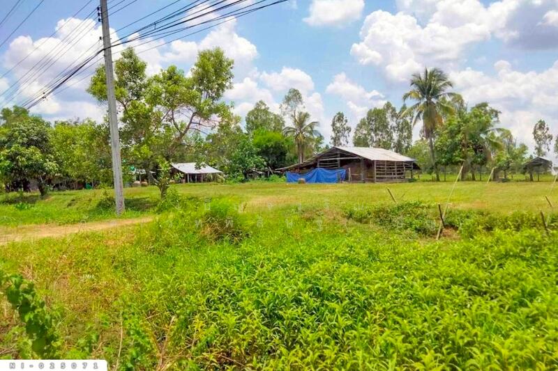 ขาย - NI-025071 ที่ดินบ้านกรวด 7 ไร่ 86.4 ตร.ว. บุรีรัมย์ ใกล้โรงพยาบาลบ้านกรวด, บุรีรัมย์