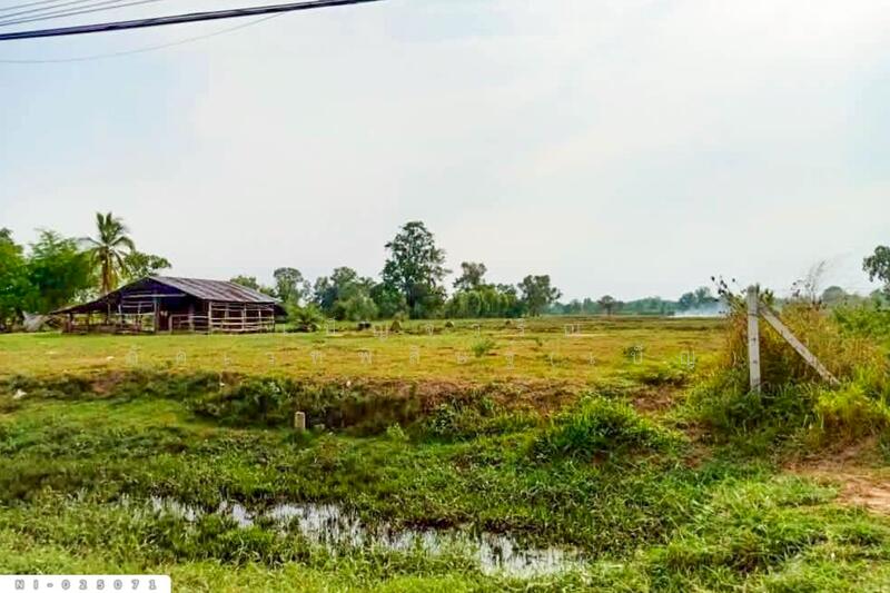 ขาย - NI-025071 ที่ดินบ้านกรวด 7 ไร่ 86.4 ตร.ว. บุรีรัมย์ ใกล้โรงพยาบาลบ้านกรวด, บุรีรัมย์