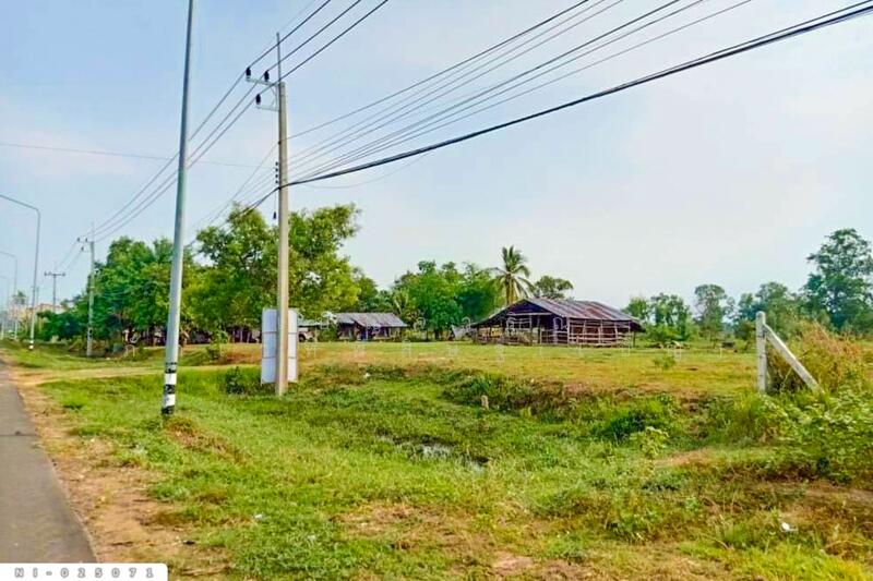 ขาย - NI-025071 ที่ดินบ้านกรวด 7 ไร่ 86.4 ตร.ว. บุรีรัมย์ ใกล้โรงพยาบาลบ้านกรวด, บุรีรัมย์