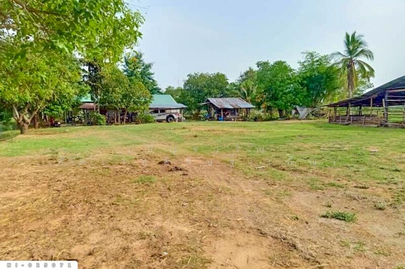 ขาย - NI-025071 ที่ดินบ้านกรวด 7 ไร่ 86.4 ตร.ว. บุรีรัมย์ ใกล้โรงพยาบาลบ้านกรวด, บุรีรัมย์