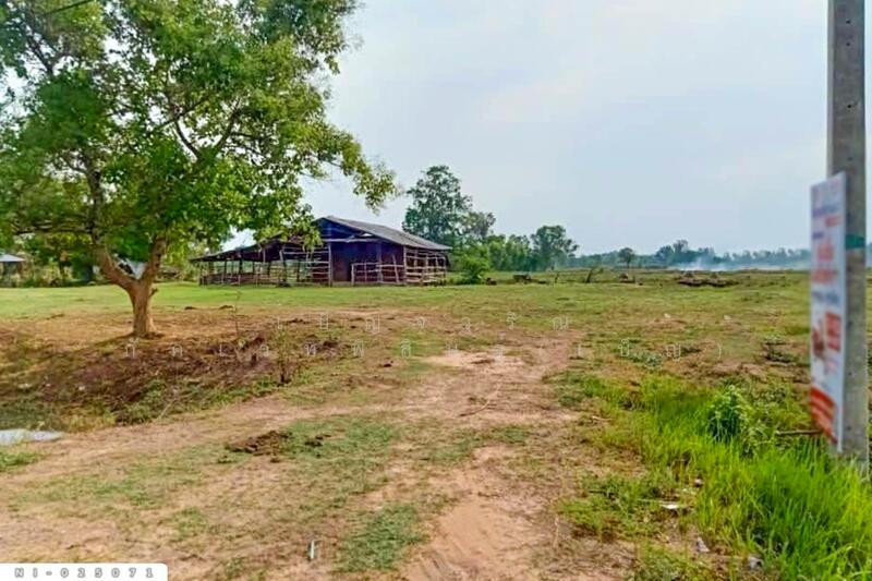 ขาย - NI-025071 ที่ดินบ้านกรวด 7 ไร่ 86.4 ตร.ว. บุรีรัมย์ ใกล้โรงพยาบาลบ้านกรวด, บุรีรัมย์