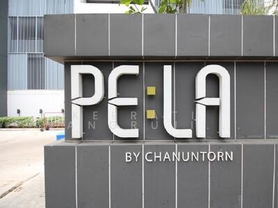 ขาย - Pela Wutthakat : เพลา วุฒากาศ, กรุงเทพ