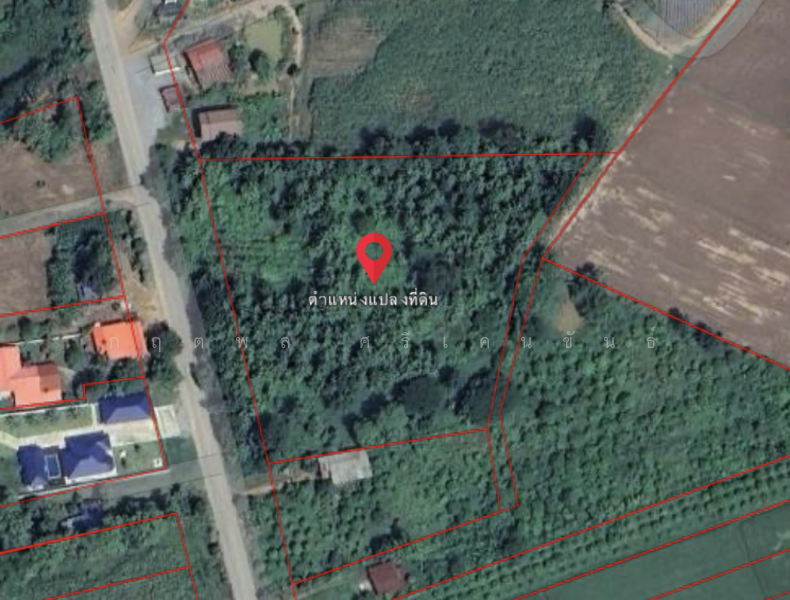 ขาย - ขายที่ดิน 8-1-13ไร่ ต.คอรุม อ.พิชัย จ.อุตรดิตถ์, อุตรดิตถ์