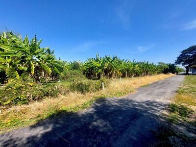 ขาย - ที่ดินเปล่า 1200 ตร.ว. ที่ดิน ซอยนวลจันทร์56 (ซอยโพธิ์สุวรรณ), กรุงเทพ