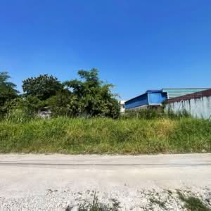 ขาย - ที่ดิน100ตรว. ถมแล้ว ซ.หนองระแหง4 แยก5 สามวาตะวันตก มีนบุรี, กรุงเทพ