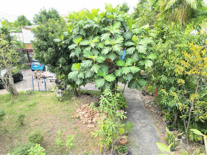 ขายที่ดินแปลงสวย สุขุมวิท แบริ่ง ทำเลศักยภาพ, สมุทรปราการ, สำโรงเหนือ, เมืองสมุทรปราการ, สมุทรปราการ, 1,068 ตร.ม., ที่ดิน ขาย, โดย นายมานพ วุฒฒเจริญ, 500111529 - DDproperty.com