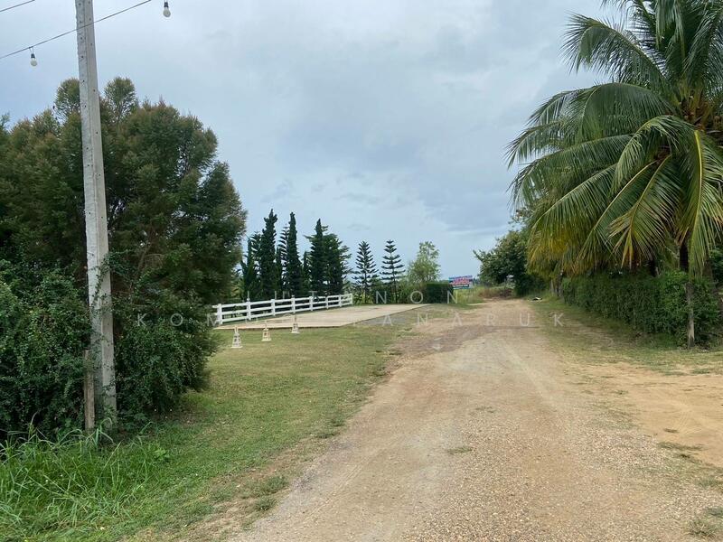 ขาย - ขายที่ดิน 3 ไร่ ทำเลสวยมาก วิวเห็นเขารอบด้าน 360 องศา ใกล้พระธาตุช่อแฮ ใกล้สนามบินแพร่, แพร่